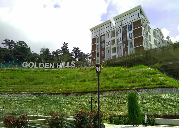 Golden Hill 1 Room Apt At Night Market