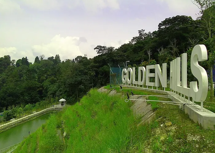 Golden Hill 1 Room Apt At Night Market